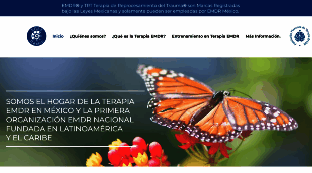 emdrmexico.org