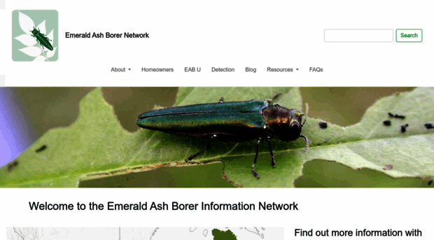 emeraldashborer.info