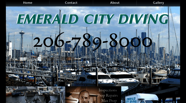 emeraldcitydiving.com