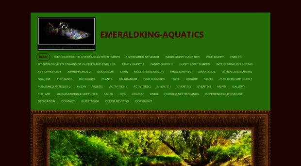 emeraldking-aquatics.com