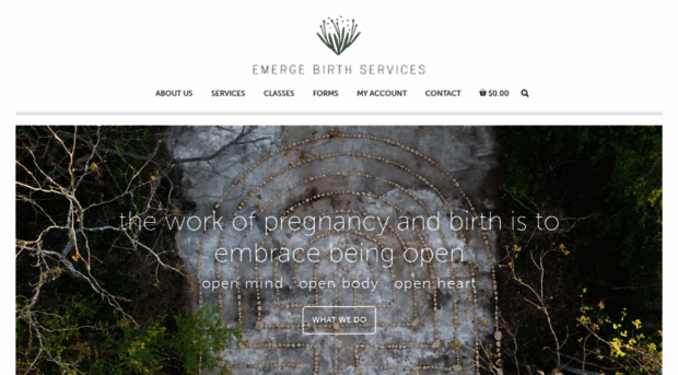 emergebirthservices.com