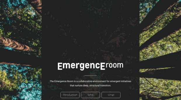 emergenceroom.net