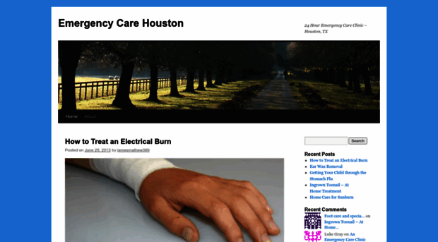 emergencycarehouston.wordpress.com