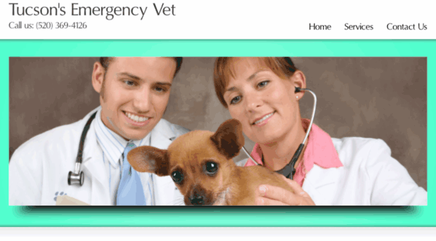 emergencyvettucson.org