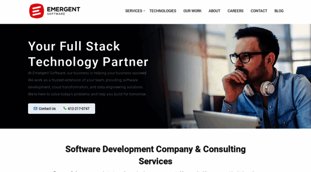 emergentsoftware.net