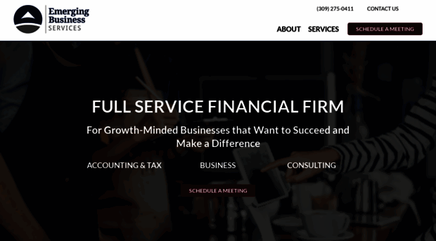 emergingbusinessservices.com