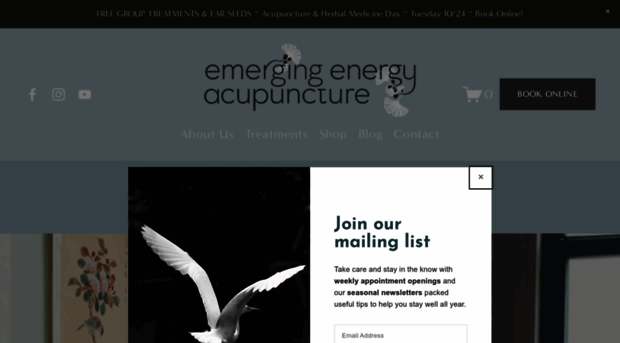 emergingenergy.net