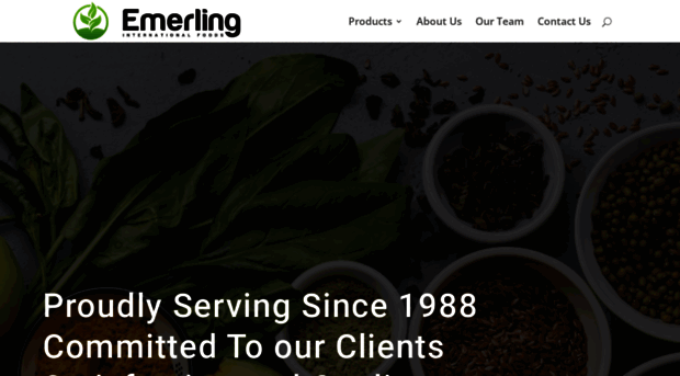 emerlinginternational.com