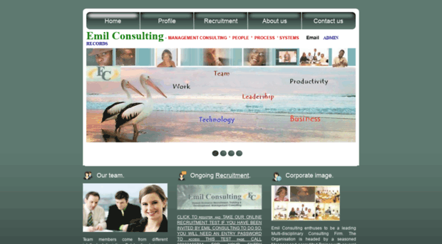 emilconsulting-ng.com