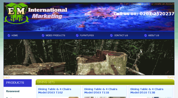 eminternationalmarketing.com