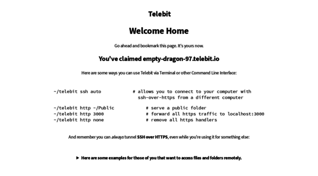 empty-dragon-97.telebit.io