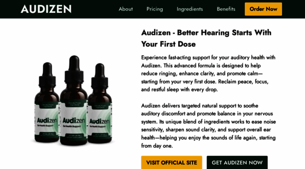 en-us-audi-zen.com