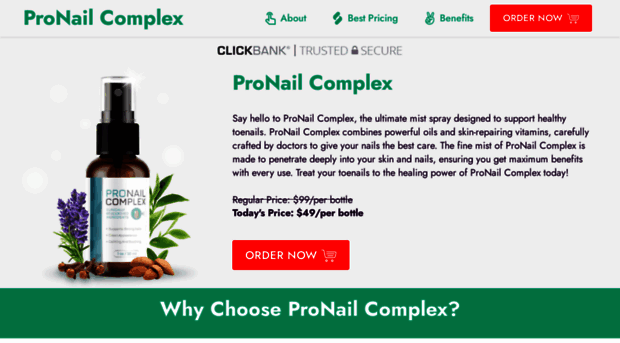 en-us-pronaiil.com