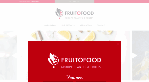 en.fruitofood.com