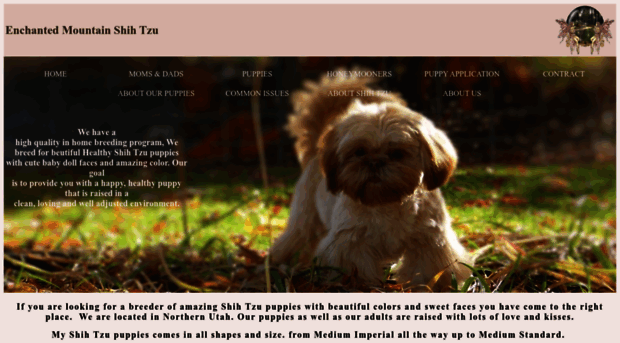 enchantedmountainshihtzu.com