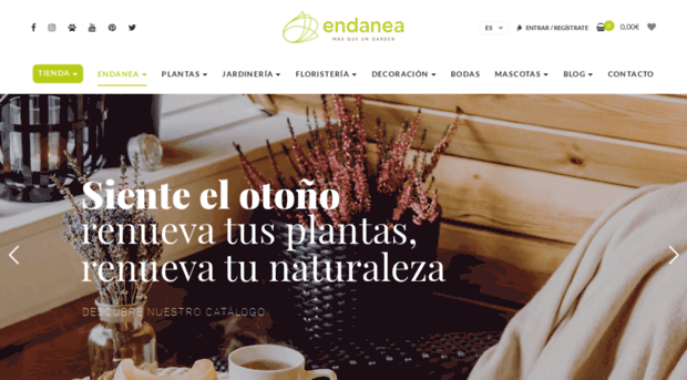 endanea.com