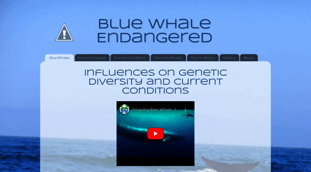 endangeredbluewhale.blogspot.com