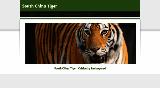 endangeredchinatiger.weebly.com