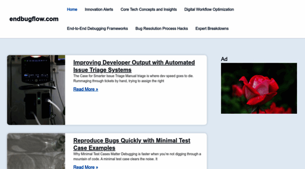 endbugflow.com