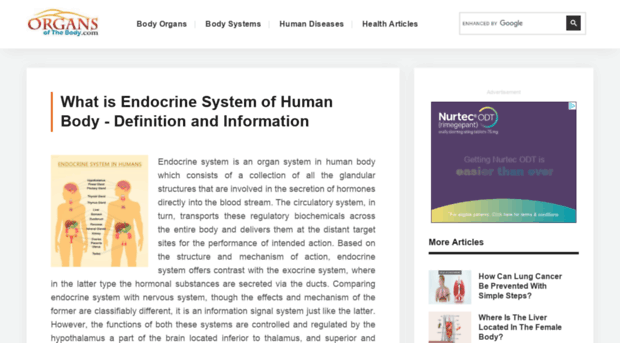 endocrinesystem.organsofthebody.com