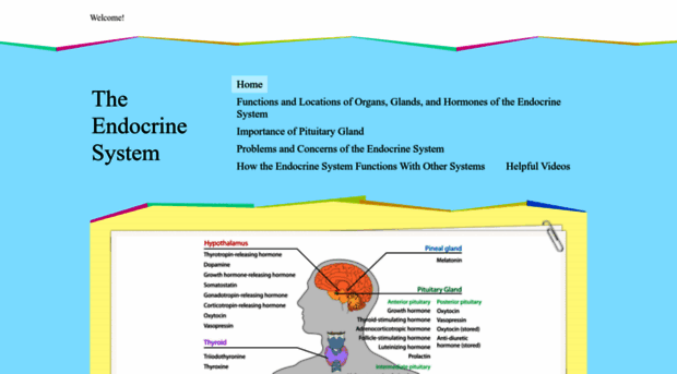 endocrinesystems.weebly.com