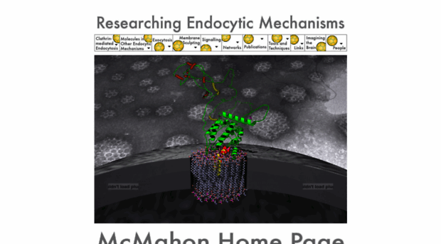 endocytosis.org