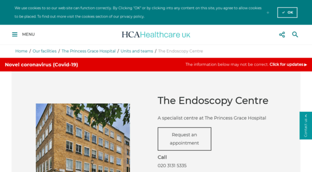 endoscopylondon.co.uk