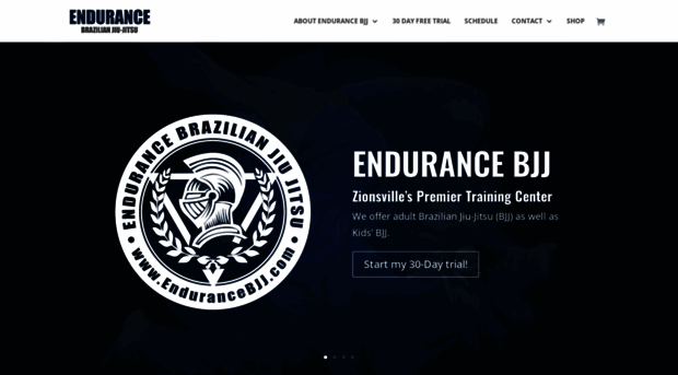 endurancebjj.com