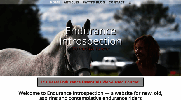 enduranceintrospection.com