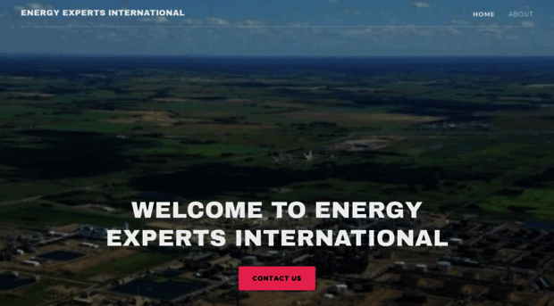 energy-experts-international.com