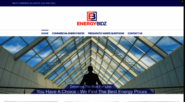 energybidz.com