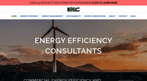 energyefficiencycons.com