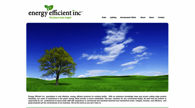 energyefficientinc.com