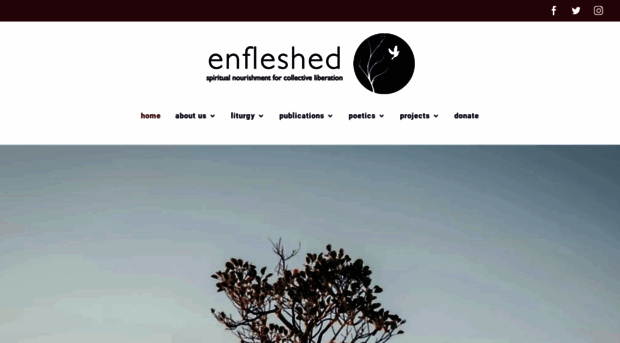 enfleshed.com
