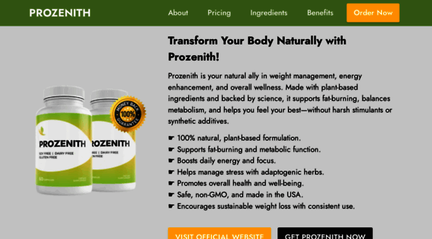 eng-prozenith.com