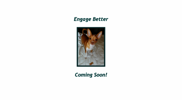 engagebetter.com