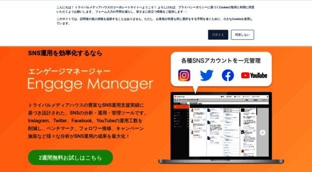 engagemanager.tribalmedia.co.jp
