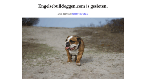 engelsebulldoggen.com