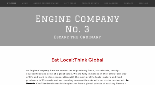 enginecompany3.com