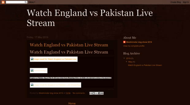 englandvspakistanliveptv.blogspot.com