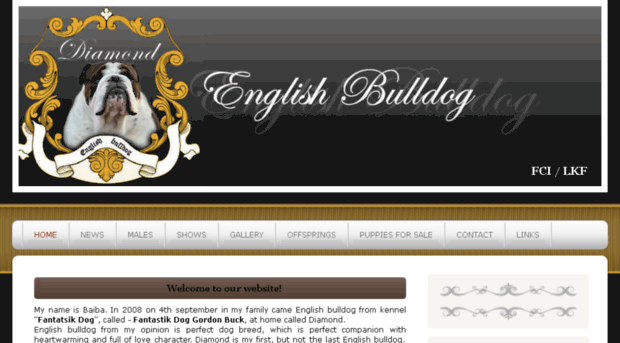 english-bulldog.jimdo.com