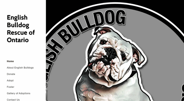 englishbulldogrescueofontario.com