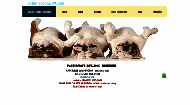 englishbulldogswa.com