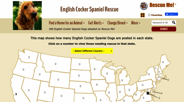 englishcockerspaniel.rescueme.org