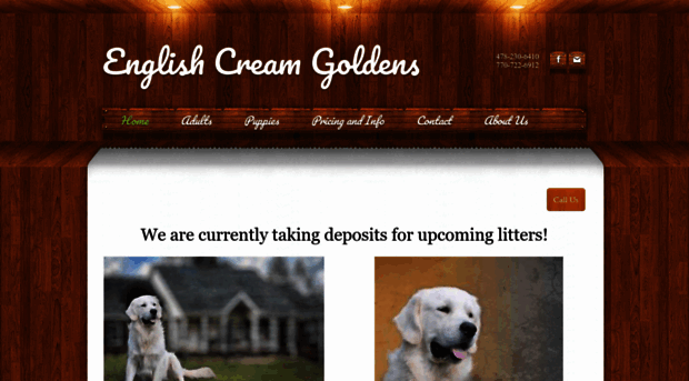 englishcreamgoldens.com