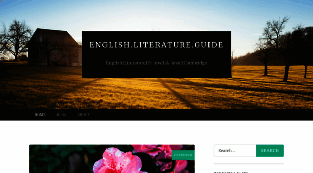 englishliteratureguide5.wordpress.com