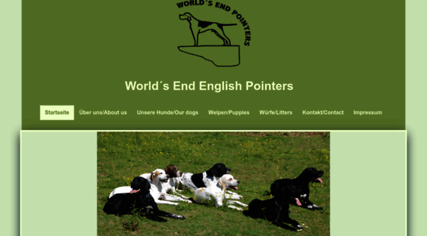 englishpointer.at