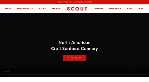 enjoyscout.com