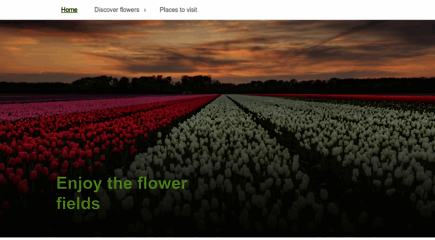 enjoytheflowerfields.com