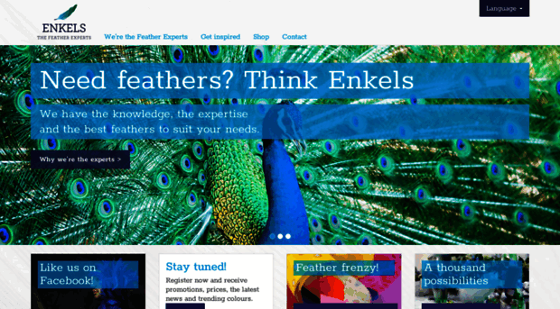 enkelsfeathers.com